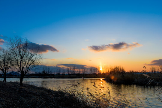 黄昏时河边的夕阳与芦苇