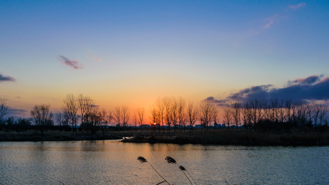 夕阳与芦苇