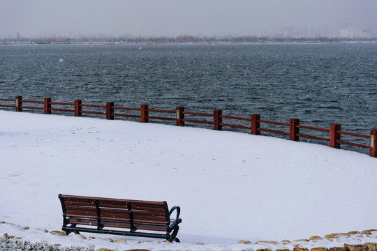 雪后的湖边公园