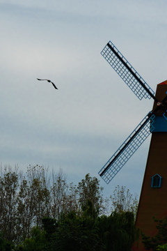 飞鸟与风车