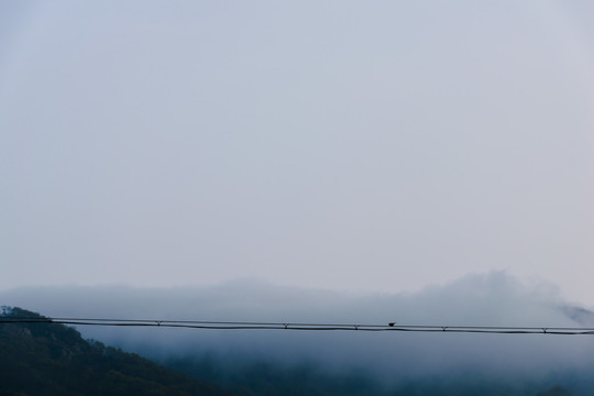 电线上的麻雀与远山