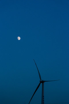 月亮与风车
