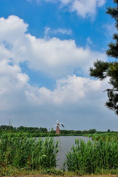 春天的湿地公园