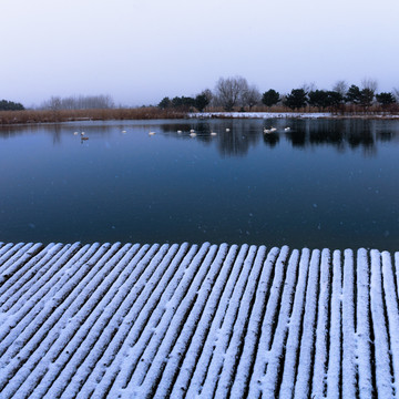 雪后的木栈道