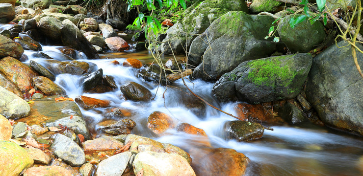 唯美溪水梧桐山泰山涧