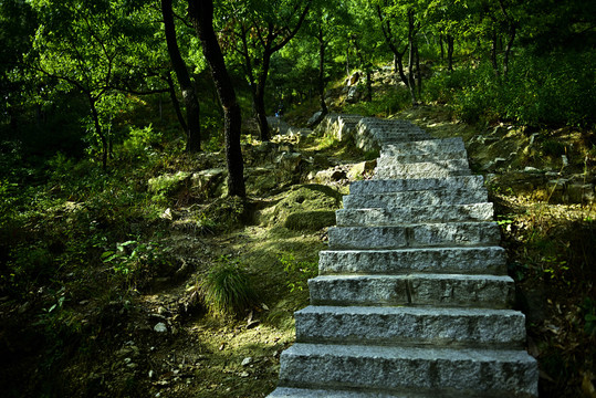 山林山路