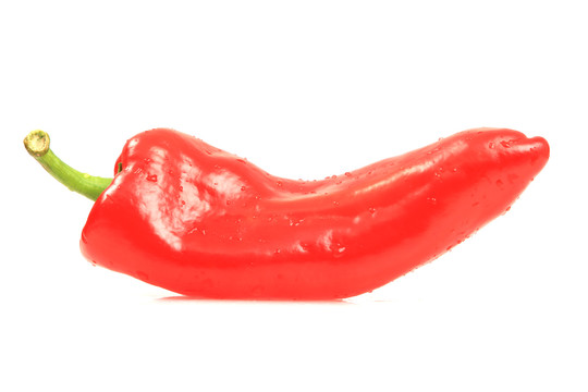红菜椒
