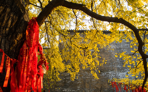 广德寺