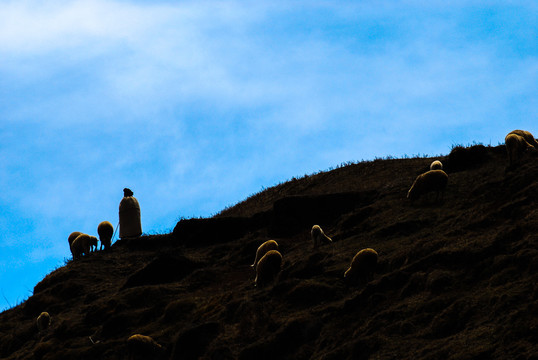 牧羊的彝人
