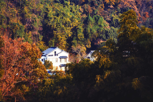 山林秋景