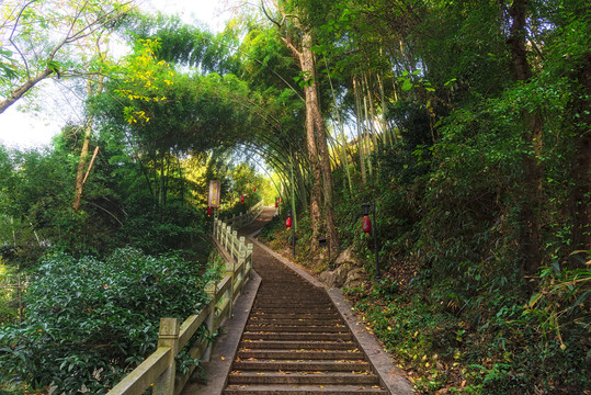 石阶楼梯