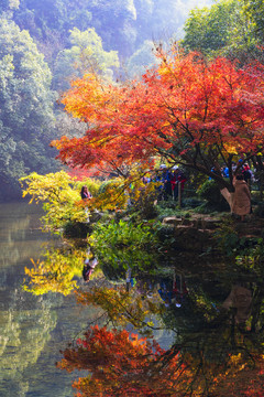 九溪烟树秋景