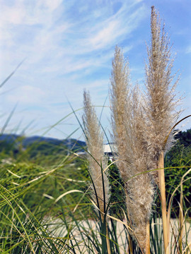 湖南高速风景