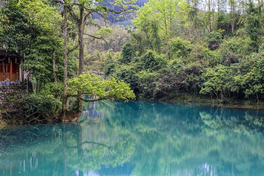 荔波湖光山色