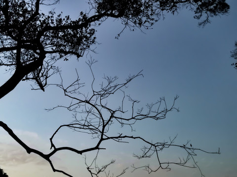 仰拍天空