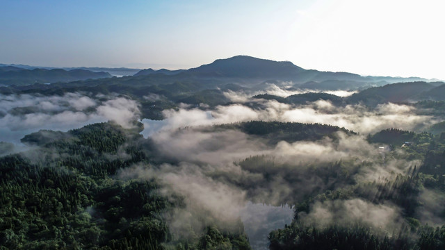 平流雾