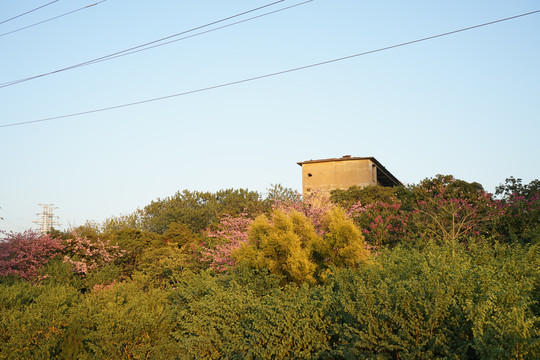 花都湖