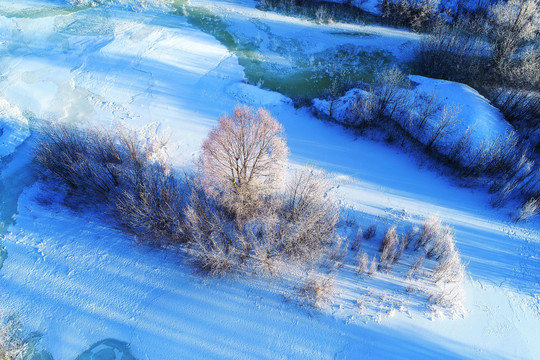 雪域冰河树林