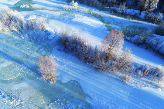 雪域冰河树林朝阳