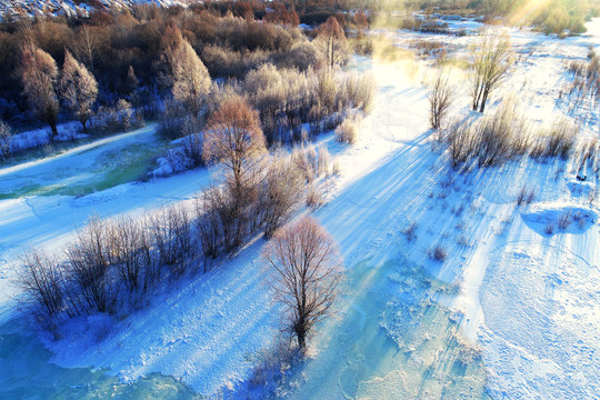 雪域冰河树林朝阳