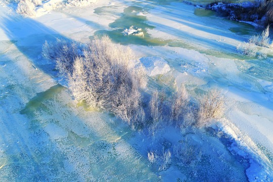 雪域冰河树林