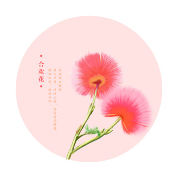 合歡花
