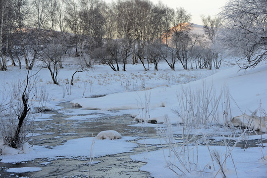 坝上雪景