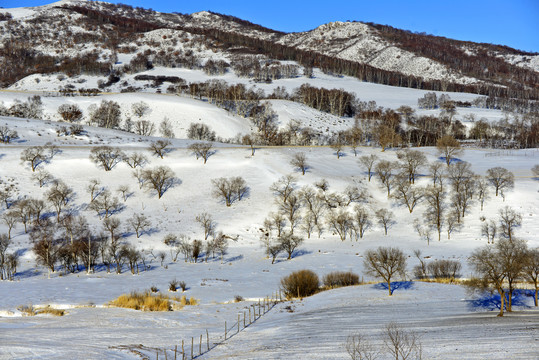 坝上雪景