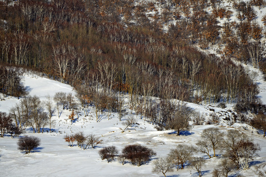 坝上雪景