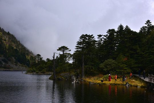 螺髻山森林风光