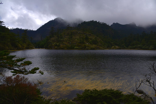 螺髻山森林风光