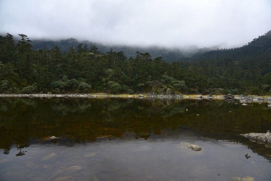 螺髻山森林风光