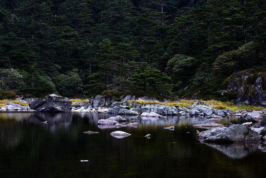 螺髻山森林风光