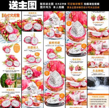 白心火龍果