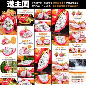 白心火龍果