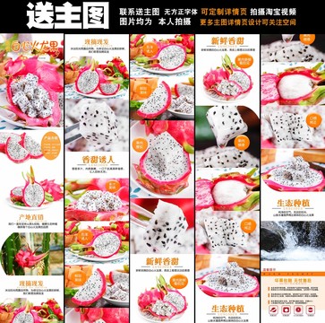 火龍果