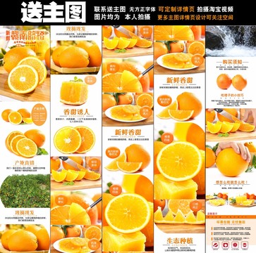 臍橙