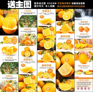 臍橙