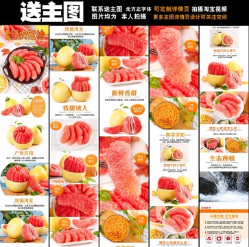 紅心柚子