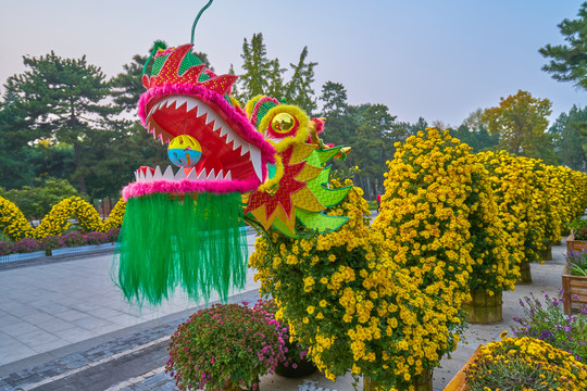 花卉龙