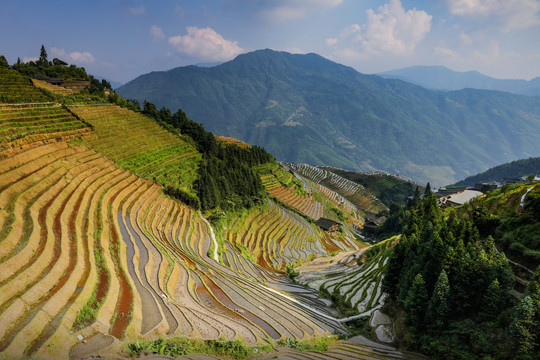 龙脊梯田