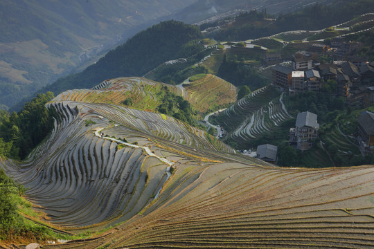 龙脊梯田