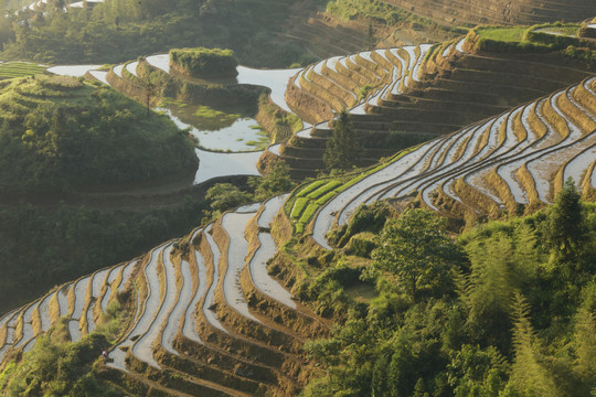 龙脊梯田