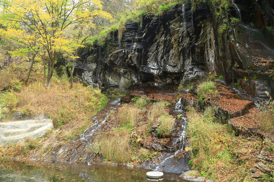 十五道沟望天鹅自然风景区