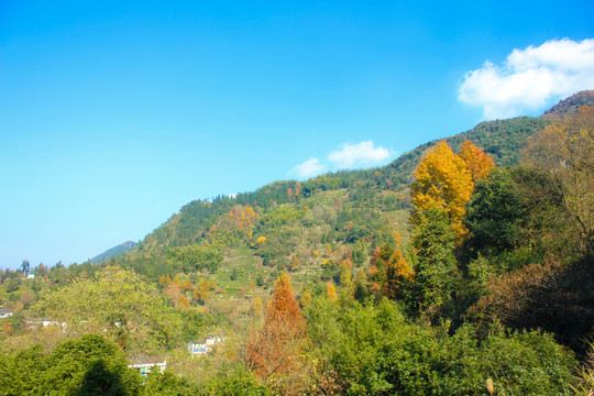 九华山风光