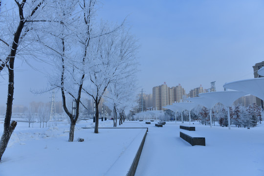 冬季海拉尔雾凇街景