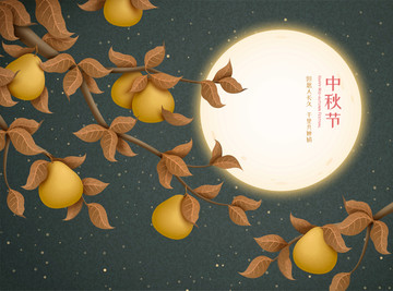 中秋满月与柚子插画