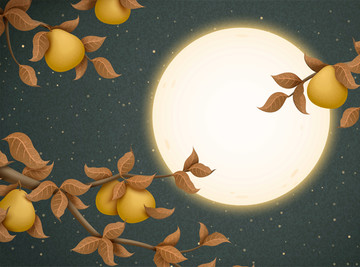 中秋满月与柚子插画