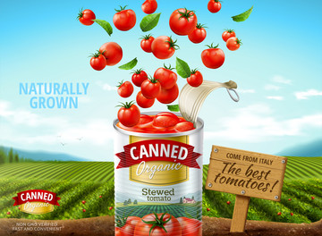 罐头西红柿广告与清新田野背景