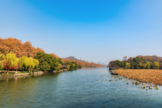 杭州西湖秋景